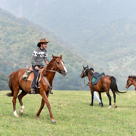 Gayane Hotel Alaverdi Kültér fotó